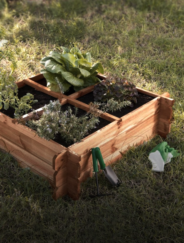 Imagen de ejemplo de plantas de la sección de jardinería de Grupo Doncel.